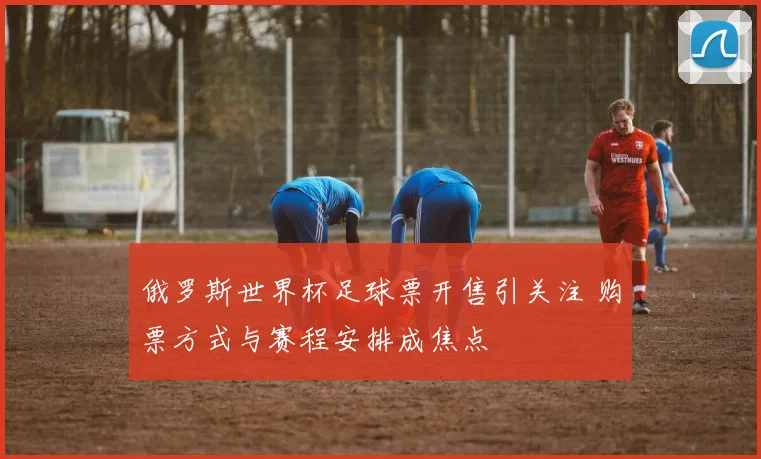 俄罗斯世界杯足球票开售引关注 购票方式与赛程安排成焦点
