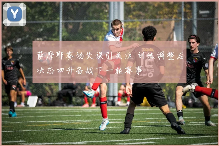 萨摩耶赛场失误引关注 训练调整后状态回升备战下一轮赛事