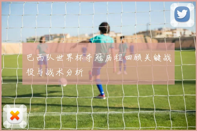 巴西队世界杯夺冠历程回顾关键战役与战术分析