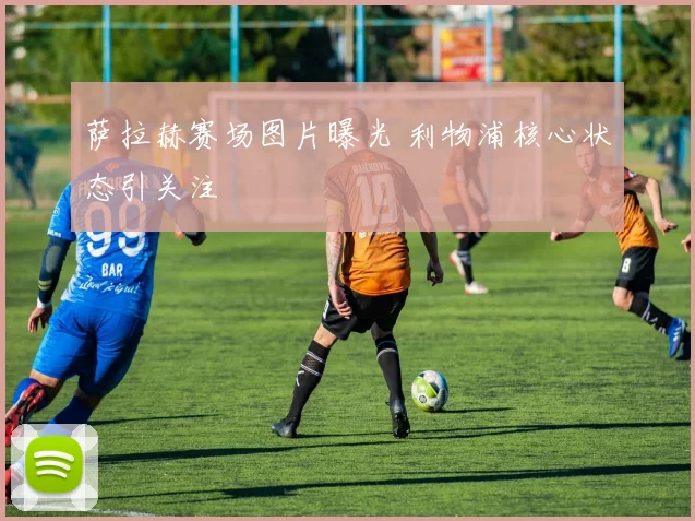 萨拉赫赛场图片曝光 利物浦核心状态引关注