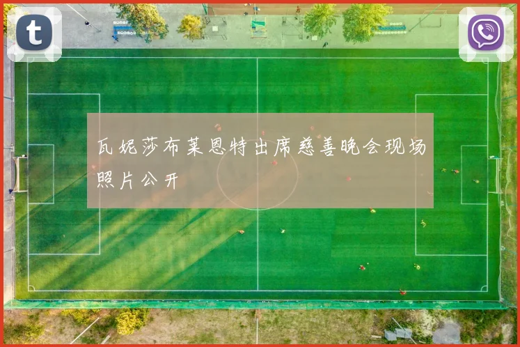 瓦妮莎布莱恩特出席慈善晚会现场照片公开