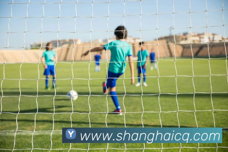 乐竞体育网页版登录界面平台生态图